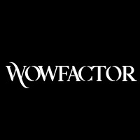 Wowfactor Africa logo - Similar company to Intech Power