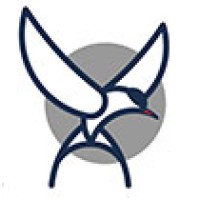 Yeto Global logo - Similar company to Cyber Alchemist