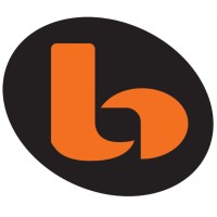BOSTON SECURITY SERVICES logo - Similar company to Boston Security Services