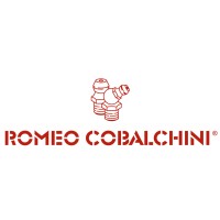Romeo Cobalchini Srl logo - Similar company to Globalchimica S.R.L.