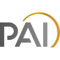 PLENIUM ACTIVIDADES INDUSTRIALES SLU logo - Similar company to Plenium Partners