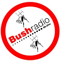 Bush Radio logo - Similar company to Techuncode