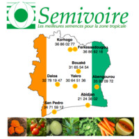 SEMIVOIRE SARL logo - Similar company to Dtech Sarl