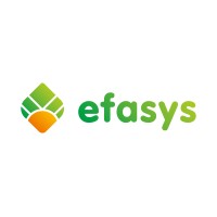 Efasys energía logo - Similar company to Revesgal