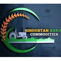 Hindustan Agro Commodities logo - Similar company to Ft Global