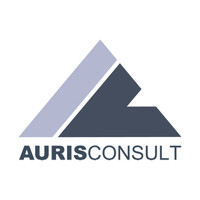 AURIS-CONSULT logo - Similar company to Sermocore Software & Consulting Gmbh