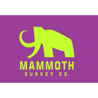 Mammoth Survey Co Inc logo - Similar company to Lamitex Inc.