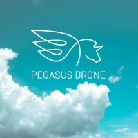 Pegasus Creative logo - Similar company to Bumble & Goose