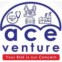 Ace Venture Financial Consultant logo - Similar company to Cyberpsy