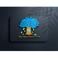 BluePapers Fintech logo - Similar company to Ms_Money_Solution