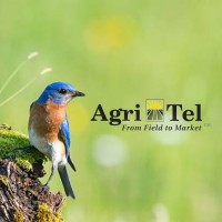 Agri-Tel Grain Ltd logo - Similar company to Agri Food Smart Exchange Network (Afsen)