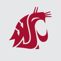 Washington State University Everett logo - Similar company to King County Play Equity Coalition