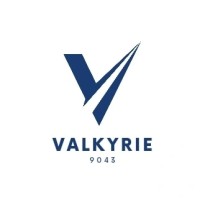 Valkyrie logo - Similar company to Go Global It