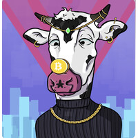 Shiny Heffers Investment Token logo - Similar company to Token_Labs