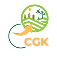 CGK Africa Connect logo - Similar company to Cgk