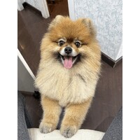 XXX logo - Similar company to Xxx