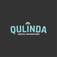 Qulinda AB logo - Similar company to Native Coders