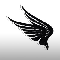 Flight Studio logo - Similar company to Thirdweb