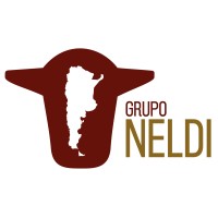 GRUPO NELDI S.A. logo - Similar company to Valdef