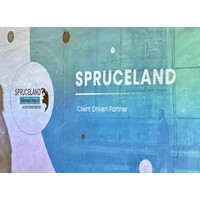 Spruceland Technologies Group Limited logo - Similar company to Labs40 - Weighing Software