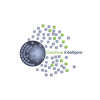 CIntelligere logo - Similar company to Ies Venancio Blanco