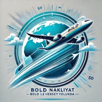BOLD ULUSLARARASI TAŞIMACILIK VE ARACILIK HİZMETLERİ logo - Similar company to Bc Logistics