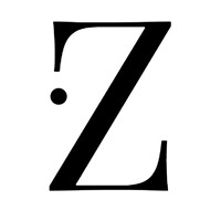 point Z logo - Similar company to Fen Digital