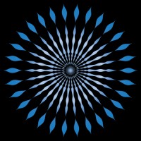 Concordia Talent Solutions logo - Related company intelligence peer for Shikari Group