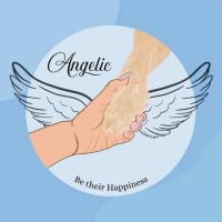 Angelic NGO logo - Similar company to Ganas Engineering And Infrastructures