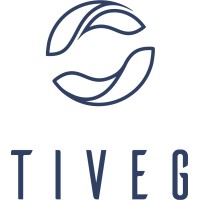 TIVEG logo - Similar company to Metteoro