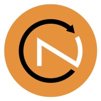 Niche Project Controls logo - Similar company to Sg Engineering Solutions
