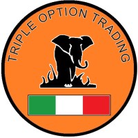 Triple Option Trading 640cc logo - Similar company to Sms  Rubber Lining And Projects