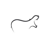 Riverhorse Project logo - Similar company to Riverhorse