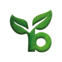Beanstalk Social logo - Similar company to Beanstalk