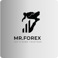 The Mr. Forex logo - Similar company to Galeo Sa