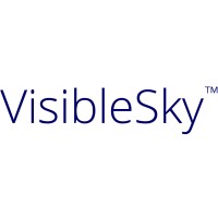 VisibleSky™ logo - Similar company to Definiti