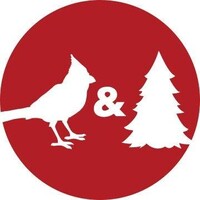 Cardinal & Pine logo - Similar company to Your First Byline