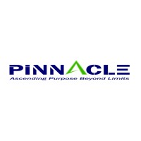 Pinnacle Connexion logo - Similar company to People Advisory Group