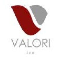 VALORI SpA - Agenzia per il Lavoro logo - Similar company to Cosmo Data Srl