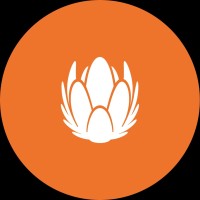 Liberty Telecom logo - Similar company to Altsource Labs