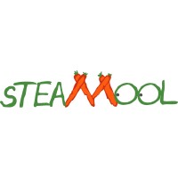 sTEAMool logo - Similar company to Ditra Solutions