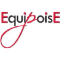 Equipoise logo - Similar company to Tacwise Group Plc