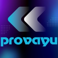 Provayu logo - Similar company to Codeviser Pvt. Ltd.