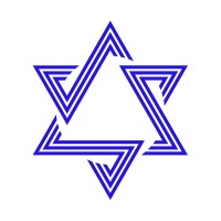 Magen David Search Partners logo - Similar company to Shalom Placements
