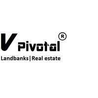 VPivotal logo - Similar company to Blue Ocean Foundation