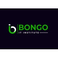 Bongo IT Institute logo - Similar company to Bongo It Limited
