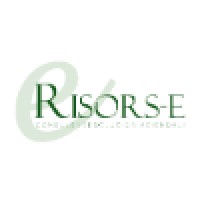 RISORS-E SRL logo - Similar company to Cse Servizi Srl