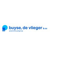 Buyse, De Vlieger & Co Accountants - Belastingconsulenten logo - Similar company to Adfintra