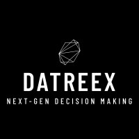 DATREEX logo - Similar company to Little Engineer