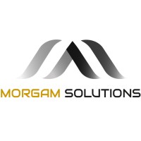 Morgam Solutions S.A.C. logo - Similar company to Indusegur